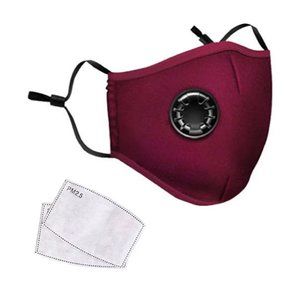 Brand New Reusable Mask &Filters 4 units 8 Filter